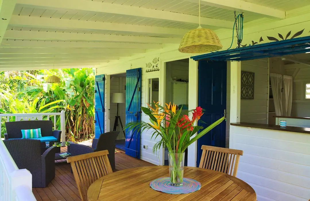 Tipareo Caraibes-1